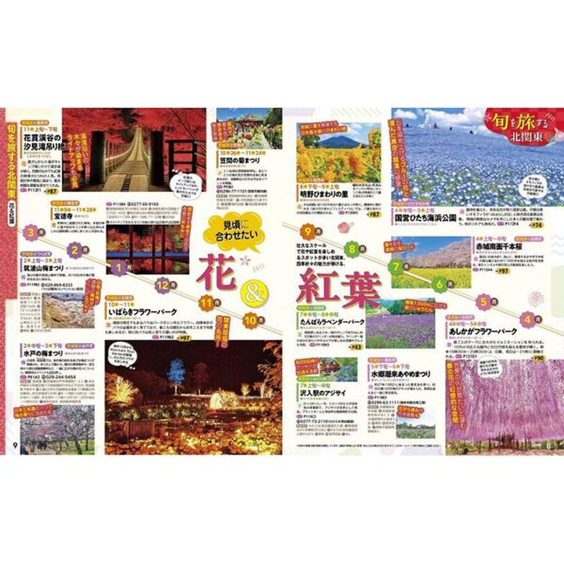 るるぶ北関東ベスト　群馬　栃木　茨城　〔２０２４〕
