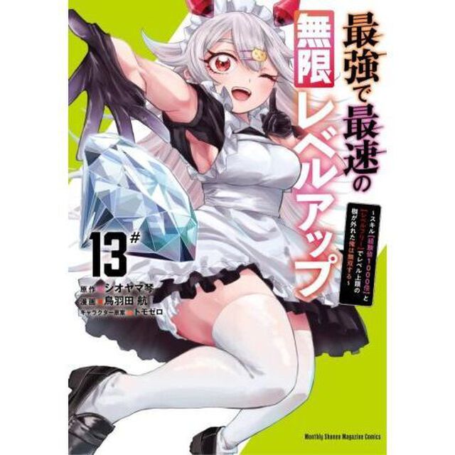 最強で最速の無限レベルアップ　１３