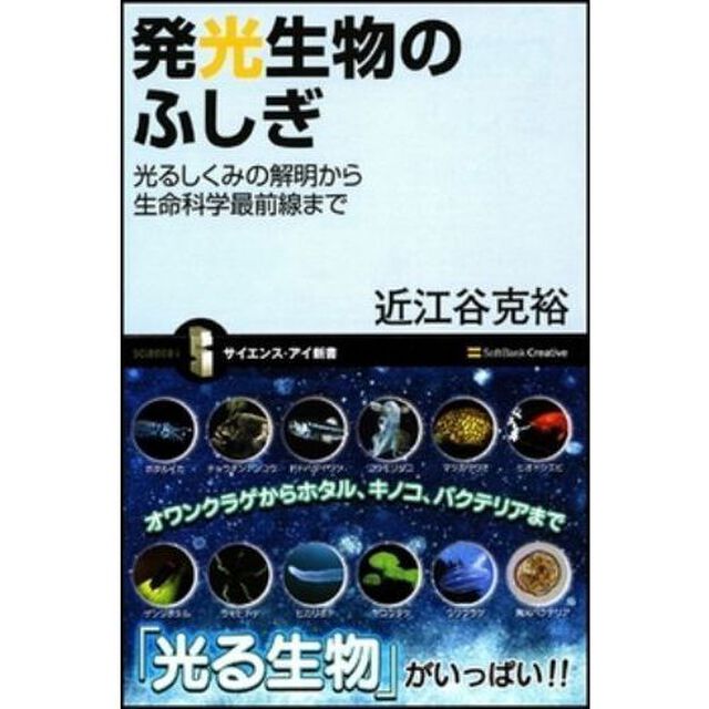 発光生物のふしぎ　光るしくみの解明から生命科学最前線まで