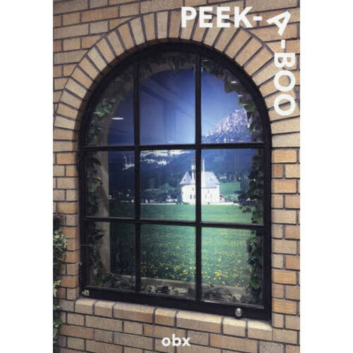 ＰＥＥＫ－Ａ－ＢＯＯ　ｏｂｘ