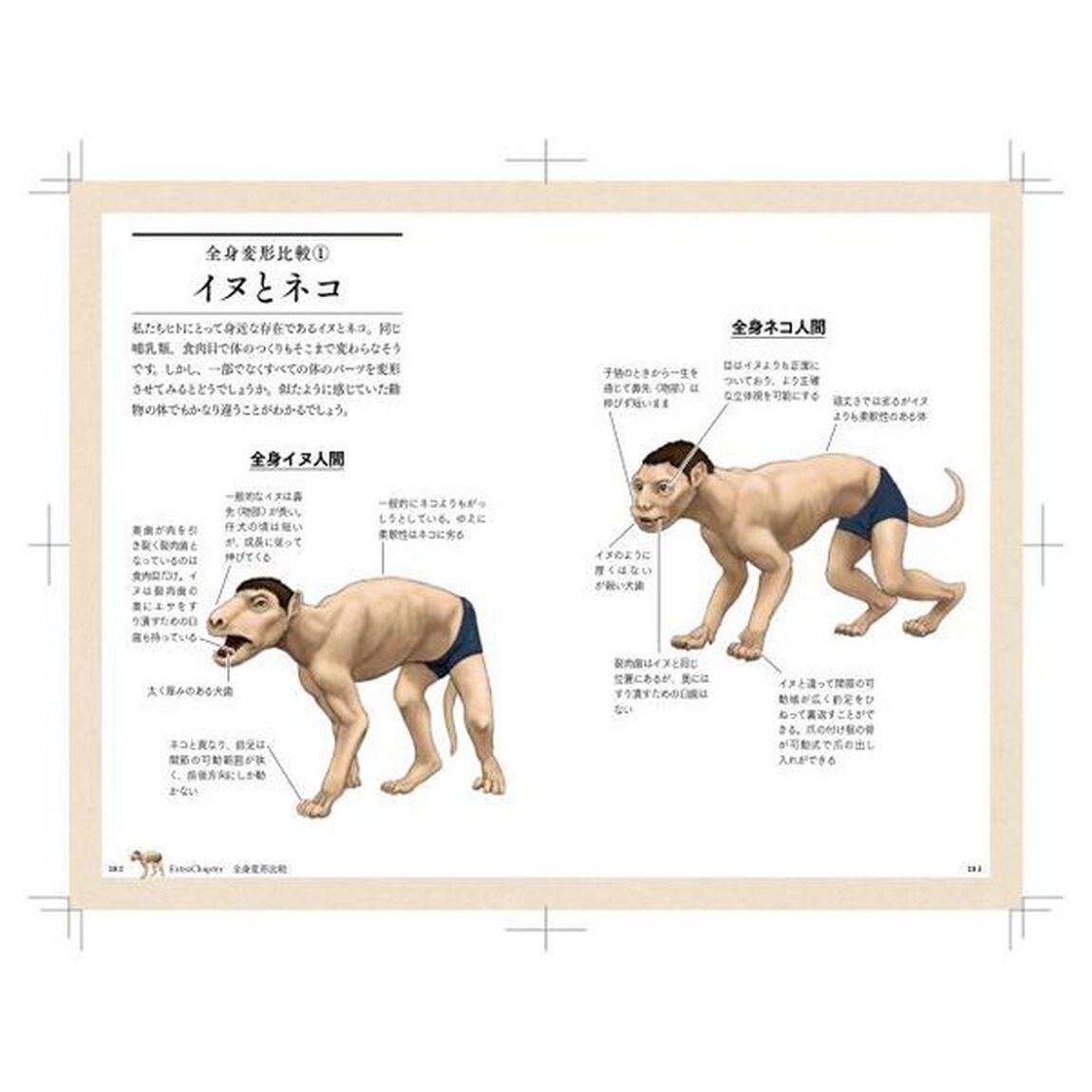 サメのアゴは飛び出し式　進化順に見る人体で表す動物図鑑