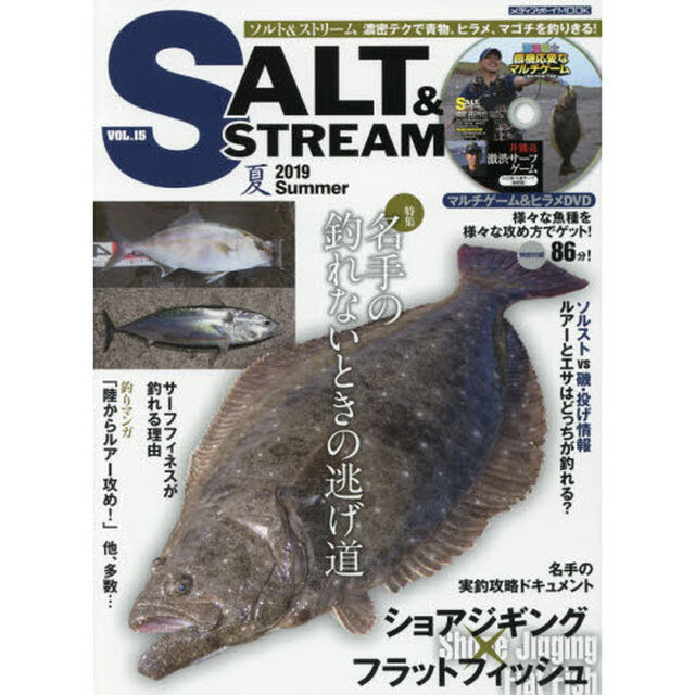 ソルト＆ストリーム　ＶＯＬ．１５（２０１９Ｓｕｍｍｅｒ）「特集名手の釣れないときの逃げ道」