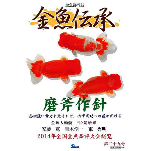 金魚伝承　　２９