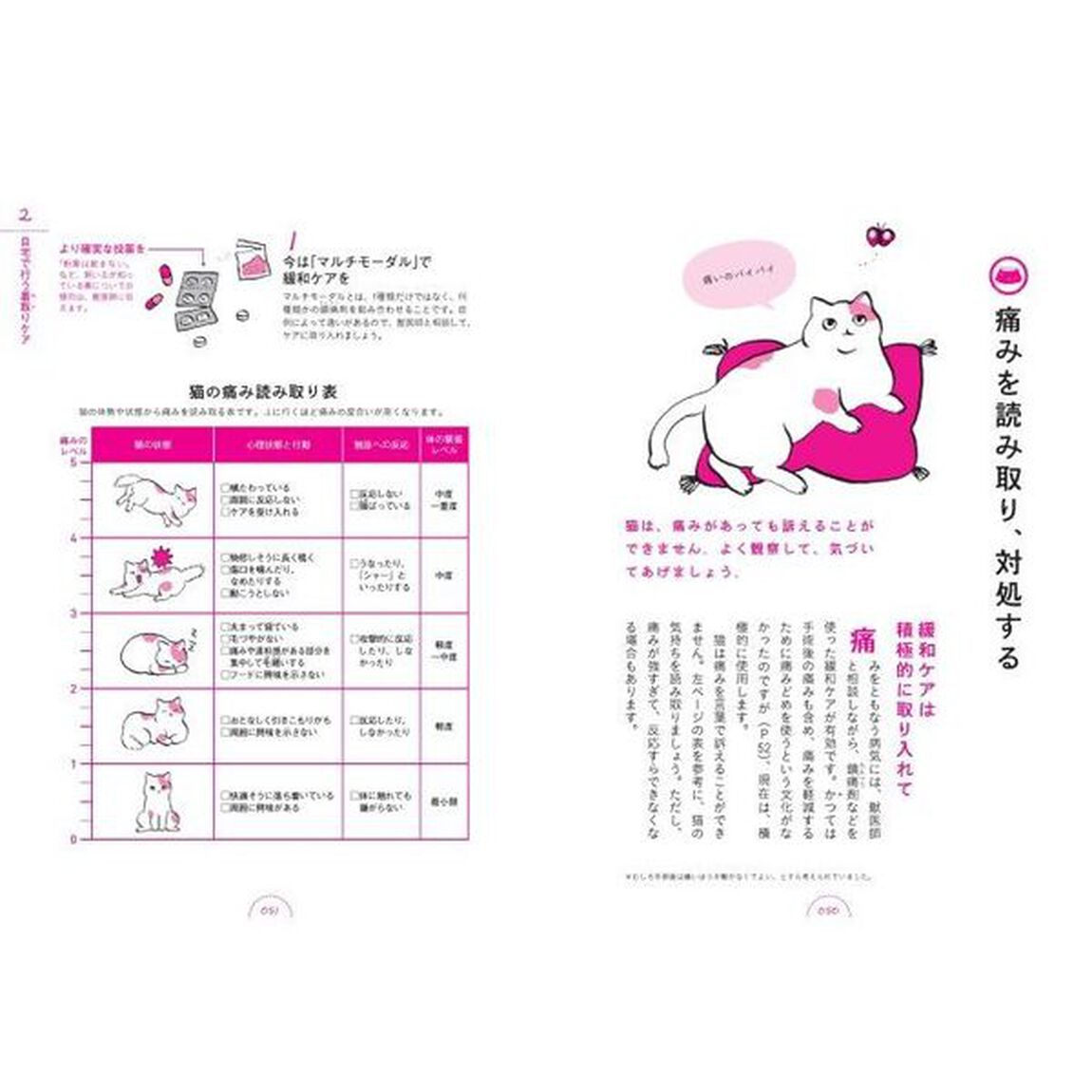 ネコの看取りガイド　ネコのきもちがマルわかり「増補改訂版」