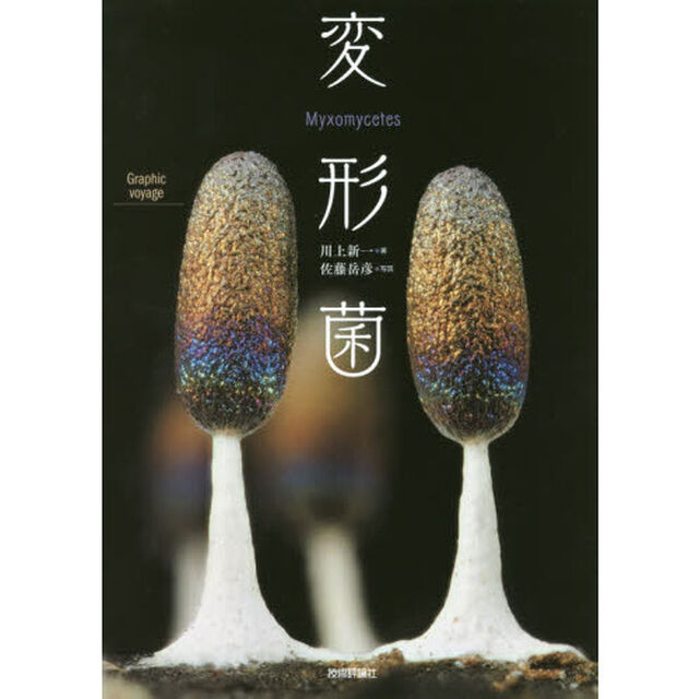 変形菌