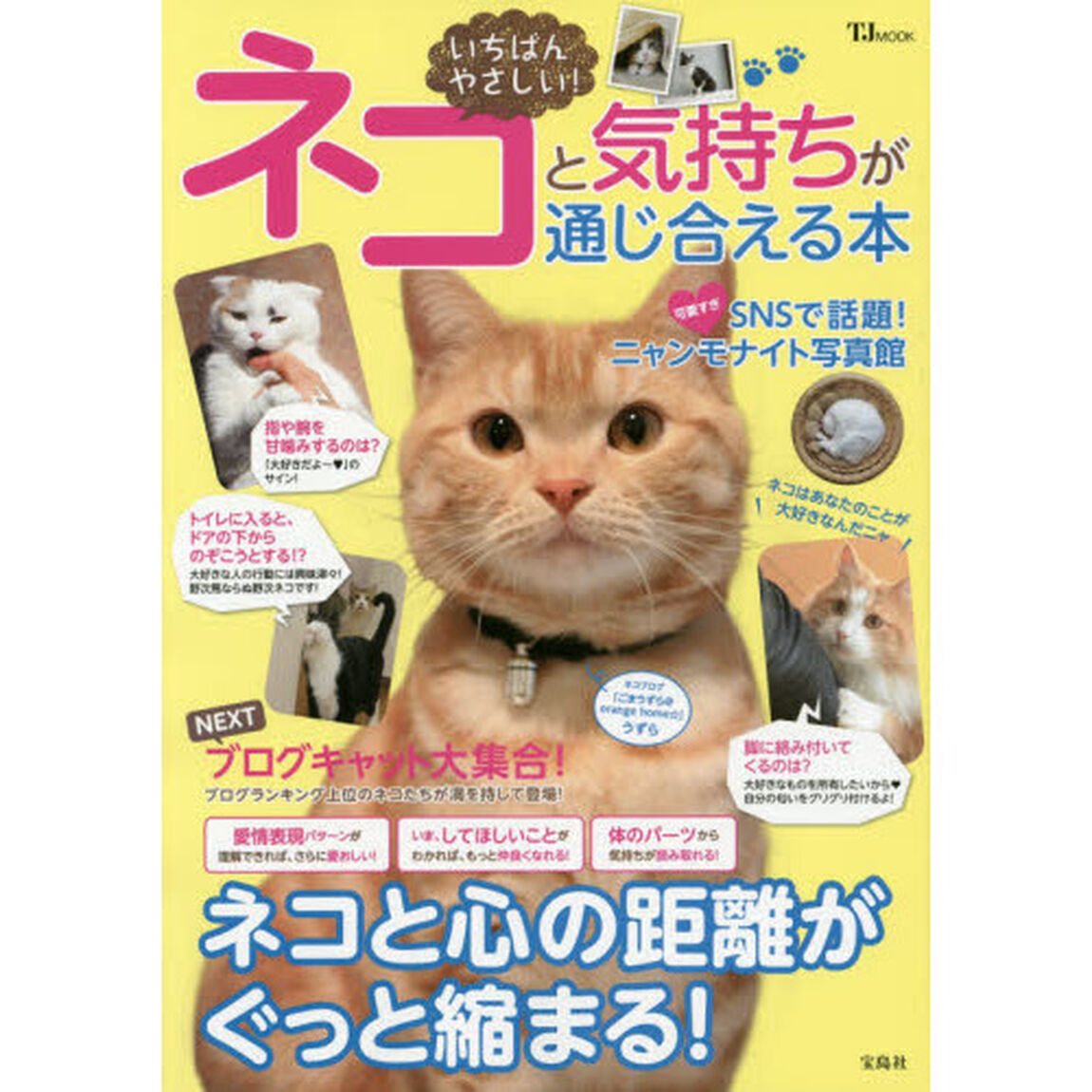 いちばんやさしい！ネコと気持ちが通じ合える本　ネコはあなたのことが大好きなんだニャ