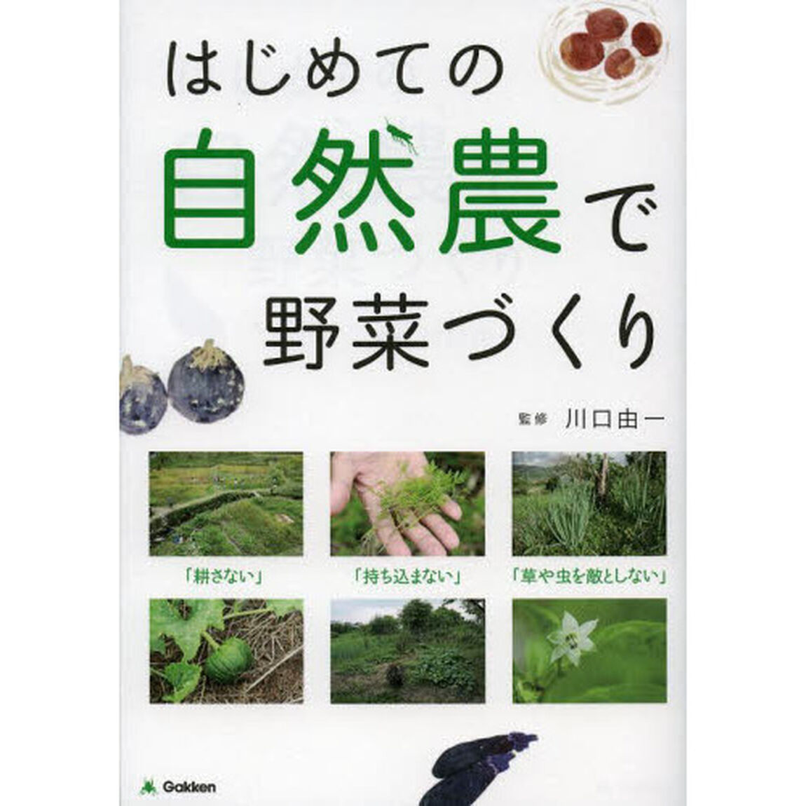 はじめての自然農で野菜づくり　無農薬