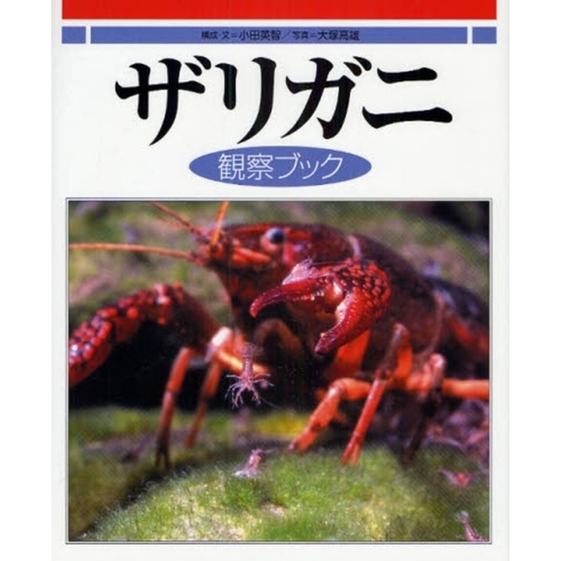 ザリガニ観察ブック