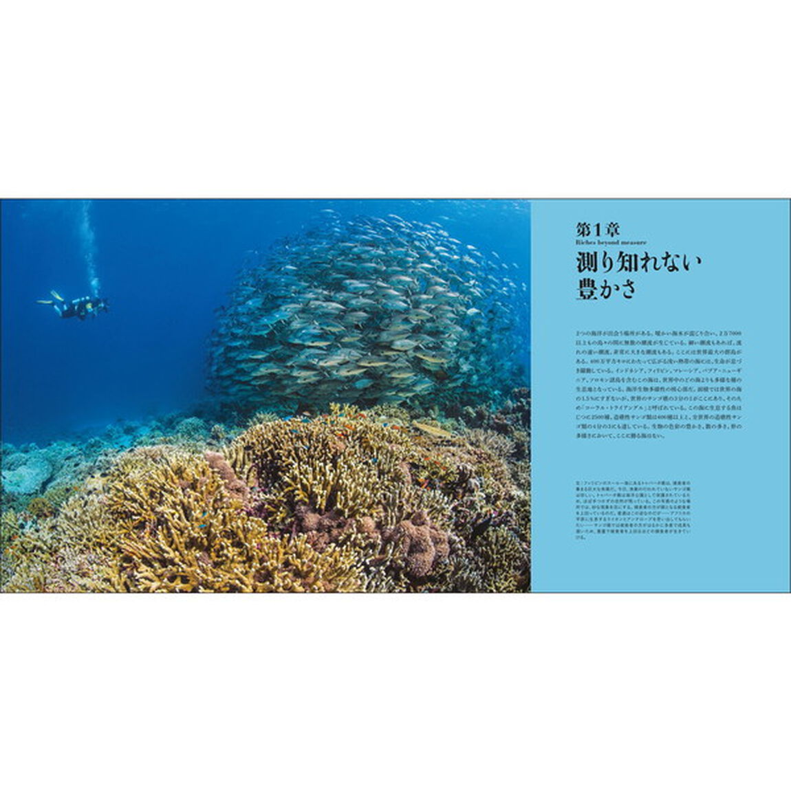 すばらしい海洋生物の世界