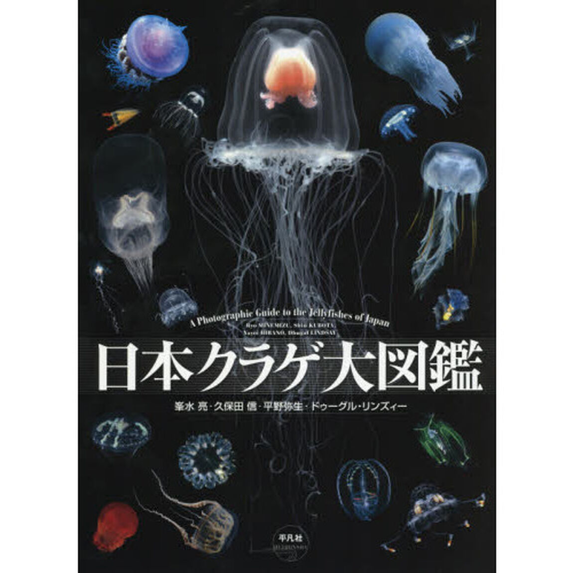 日本クラゲ大図鑑