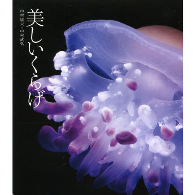 美しいくらげ「増補改訂版」