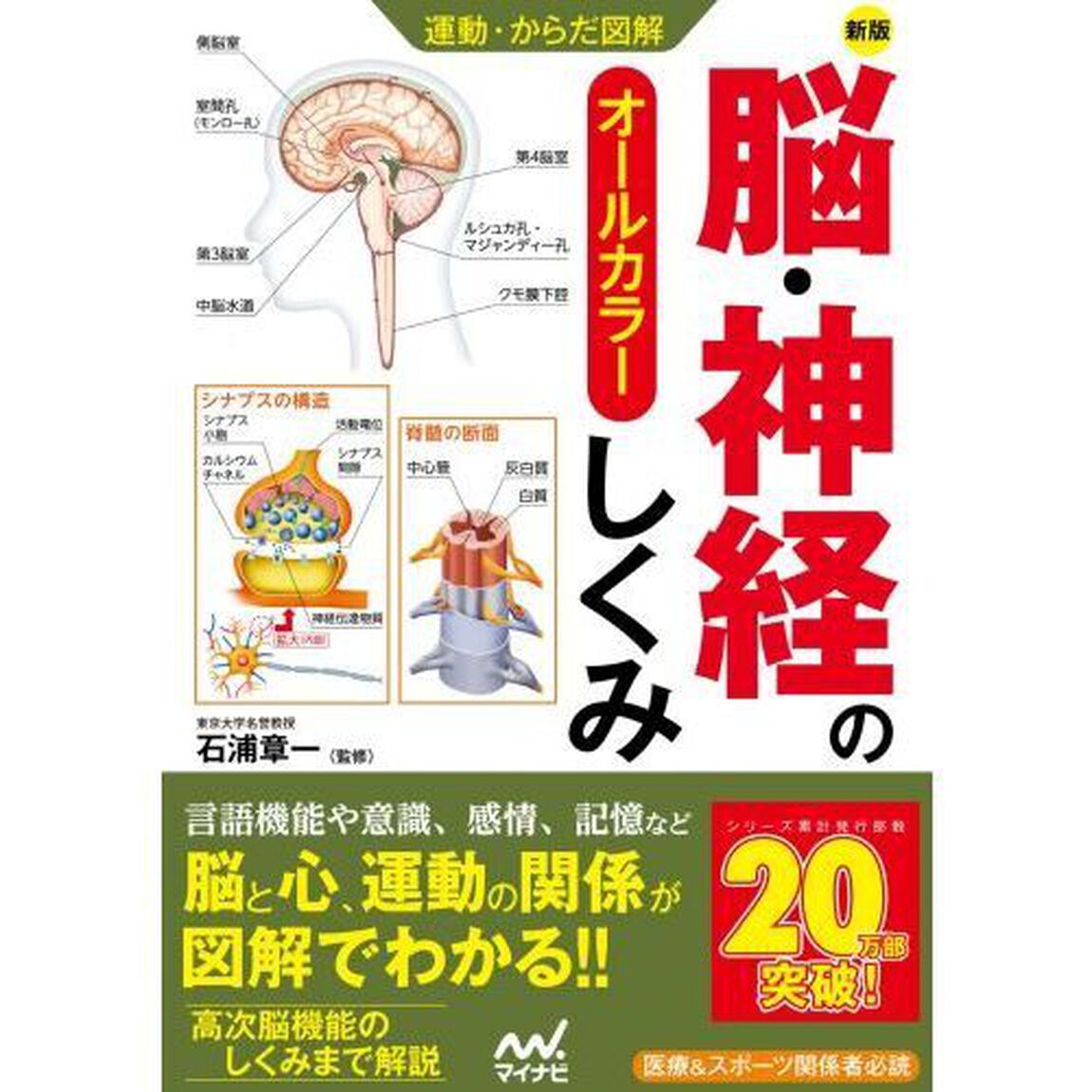 脳・神経のしくみ　オールカラー「新版」