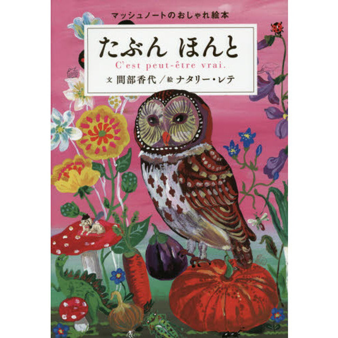 たぶんほんと　マッシュノートのおしゃれ絵本