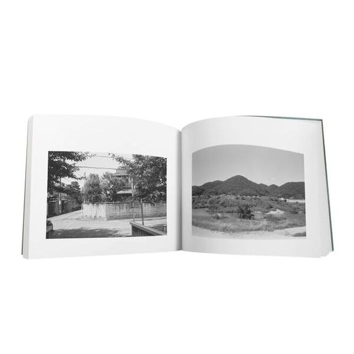 平行写真