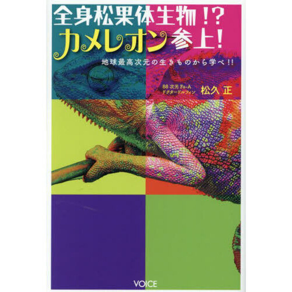 全身松果体生物！？カメレオン参上！　地球最高次元の生きものから学べ！！