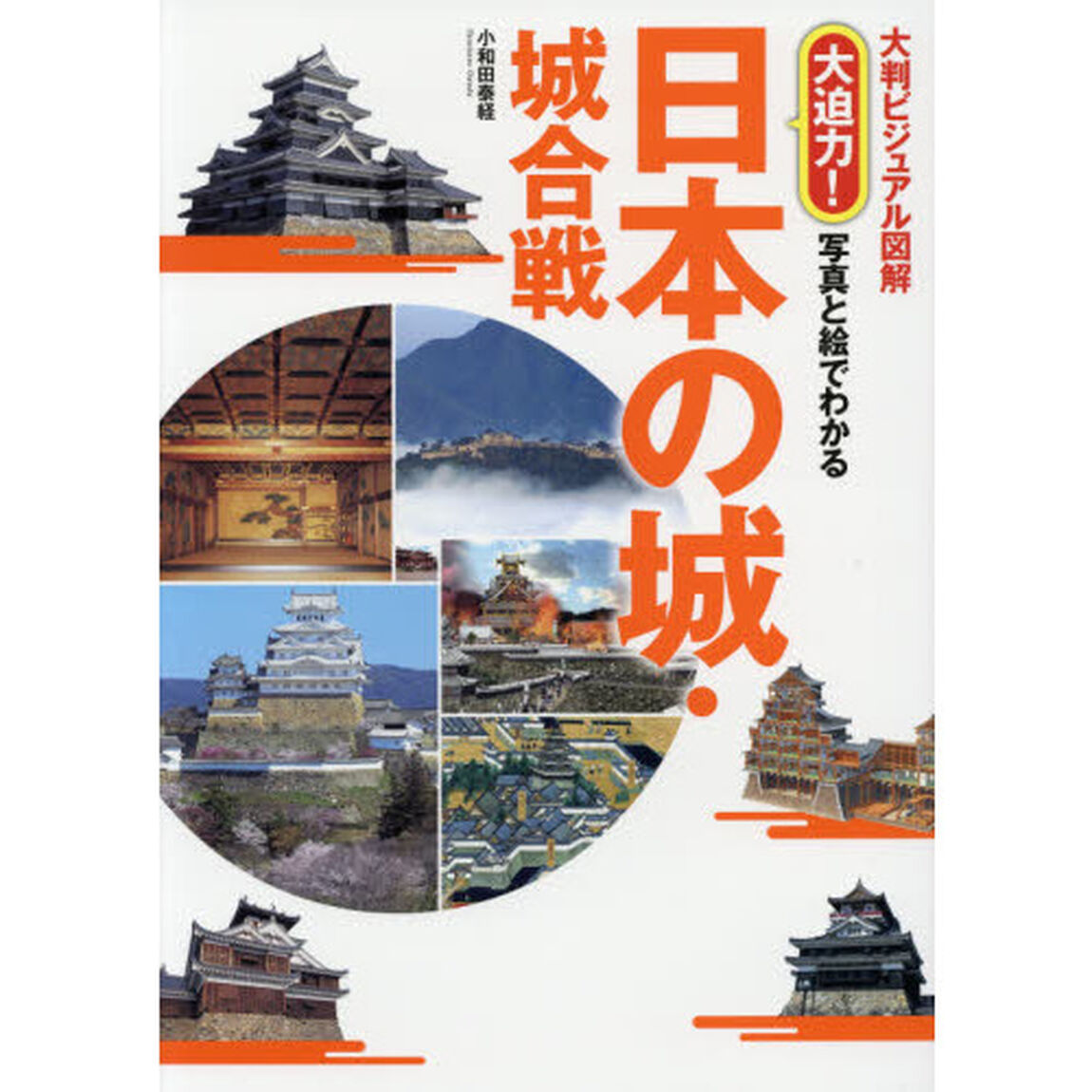 大迫力！写真と絵でわかる日本の城・城合戦