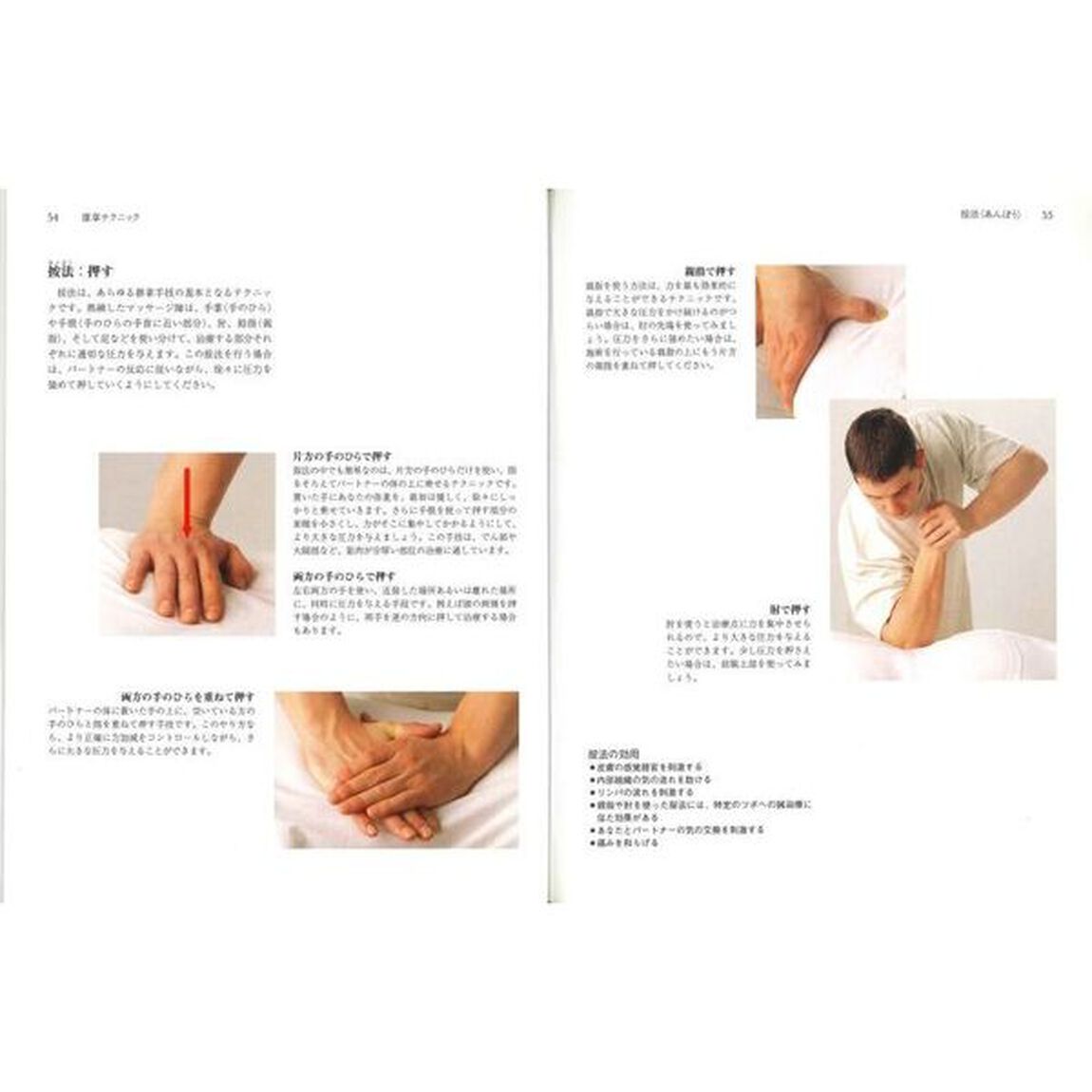 スイナ式中国整体　肉体と心と精神のバランスをとる健康と治療の秘技
