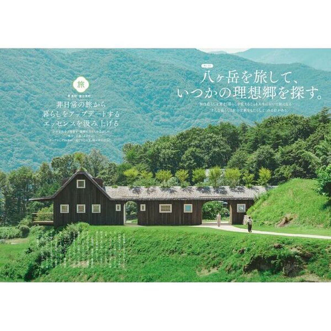 八ヶ岳デイズ　森に遊び、高原に暮らすライフスタイルマガジン　ｖｏｌ．２９（２０２５ＡＵＴＵＭＮ）
