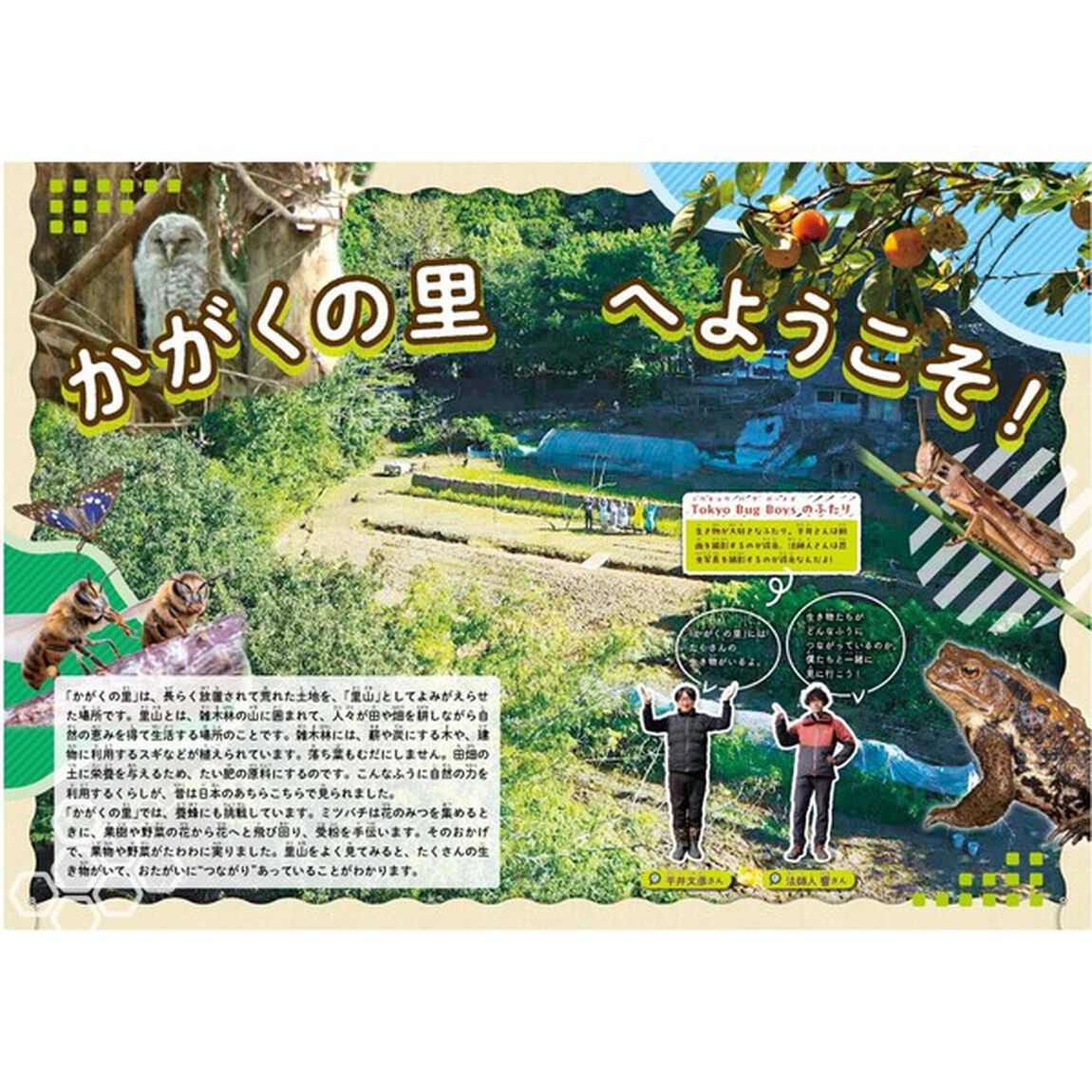 所さんの目がテン！公式ブック 生物多様性がわかる かがくの里の&ldquo;つながり&rdquo;大事典