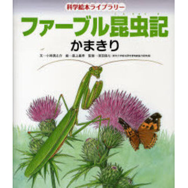 ファーブル昆虫記　かまきり