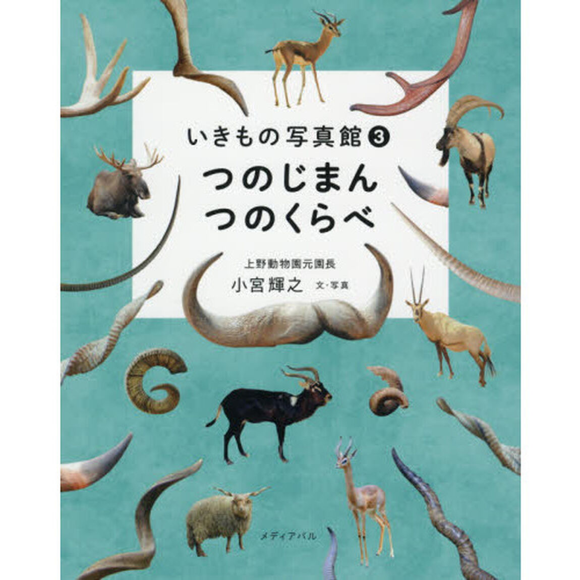 つのじまんつのくらべ