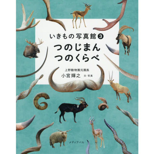 つのじまんつのくらべ