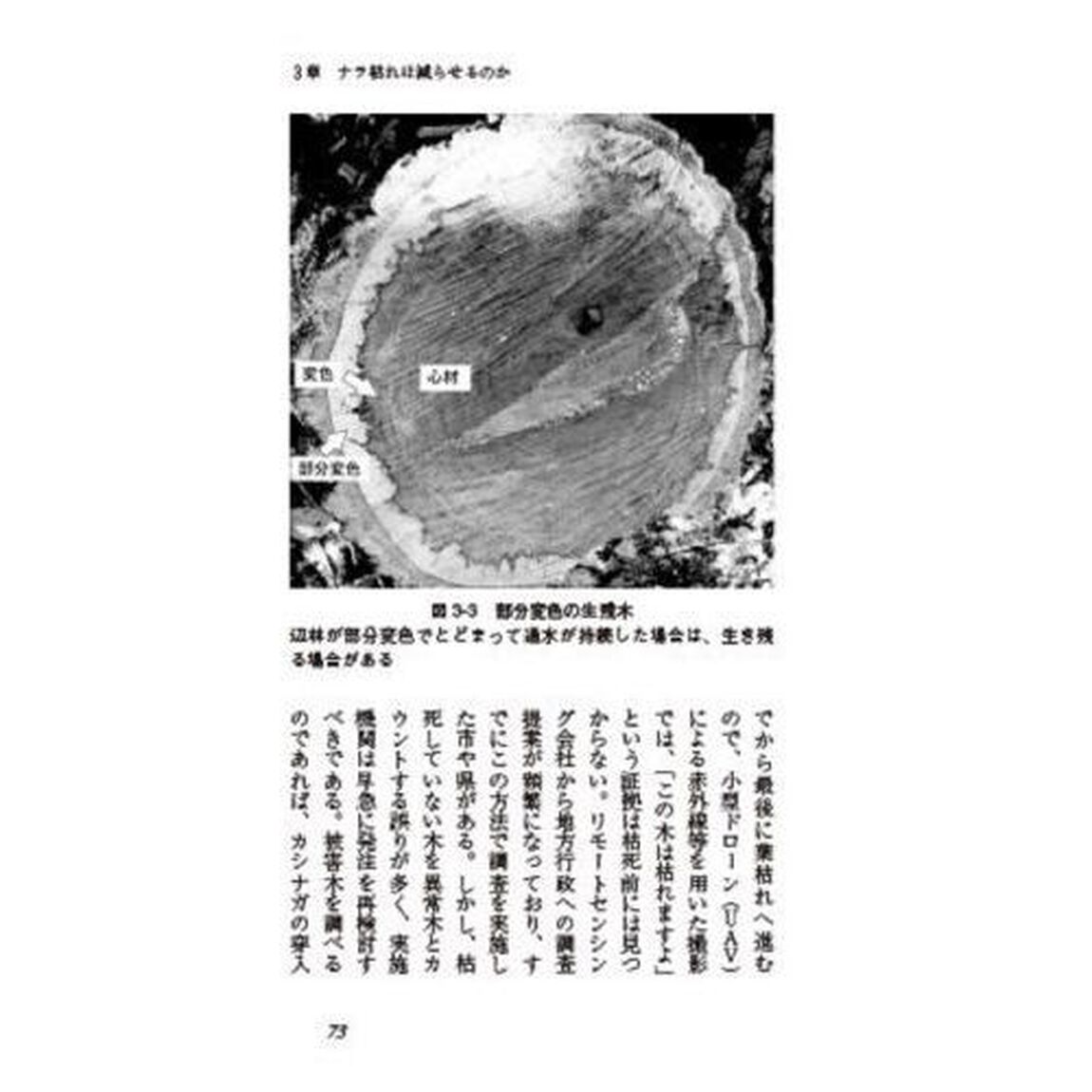 ナラ枯れ被害を防ぐ里山管理