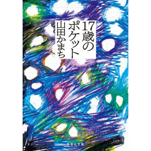 １７歳のポケット