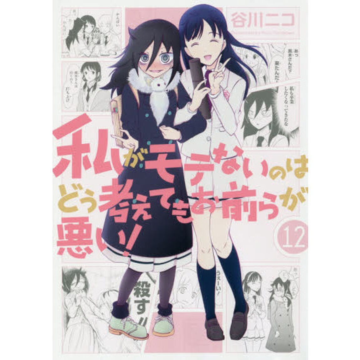 私がモテないのはどう考えてもお前らが悪い！　１２