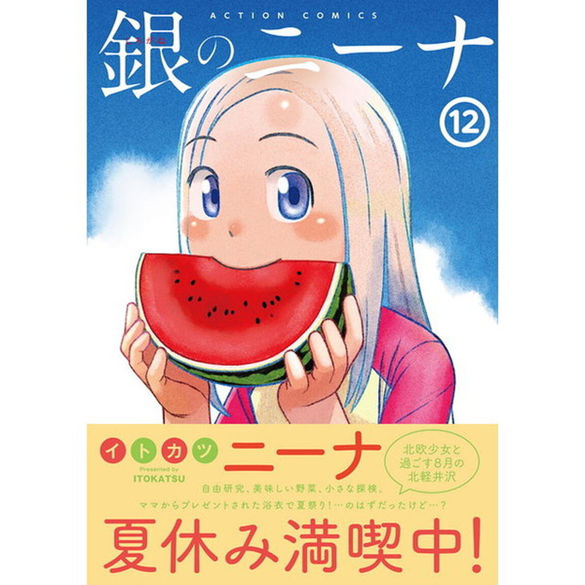 銀のニーナ　１２