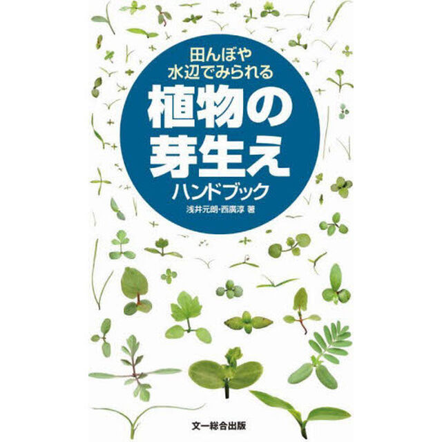 田んぼや水辺でみられる植物の芽生えハンドブック