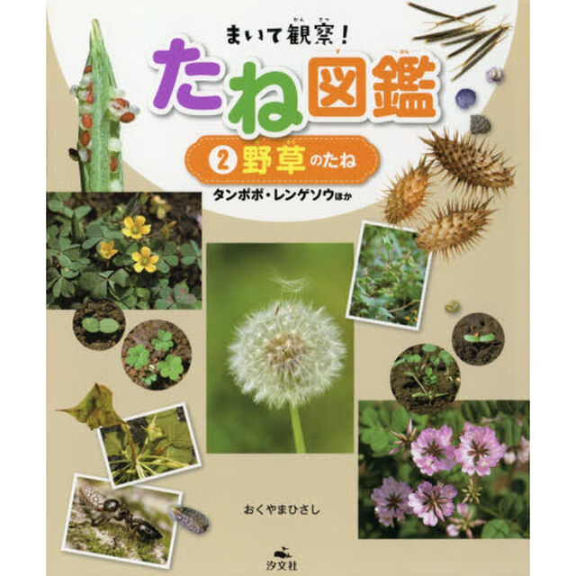 まいて観察！たね図鑑　２「野草のたね　タンポポ・レンゲソウほか」