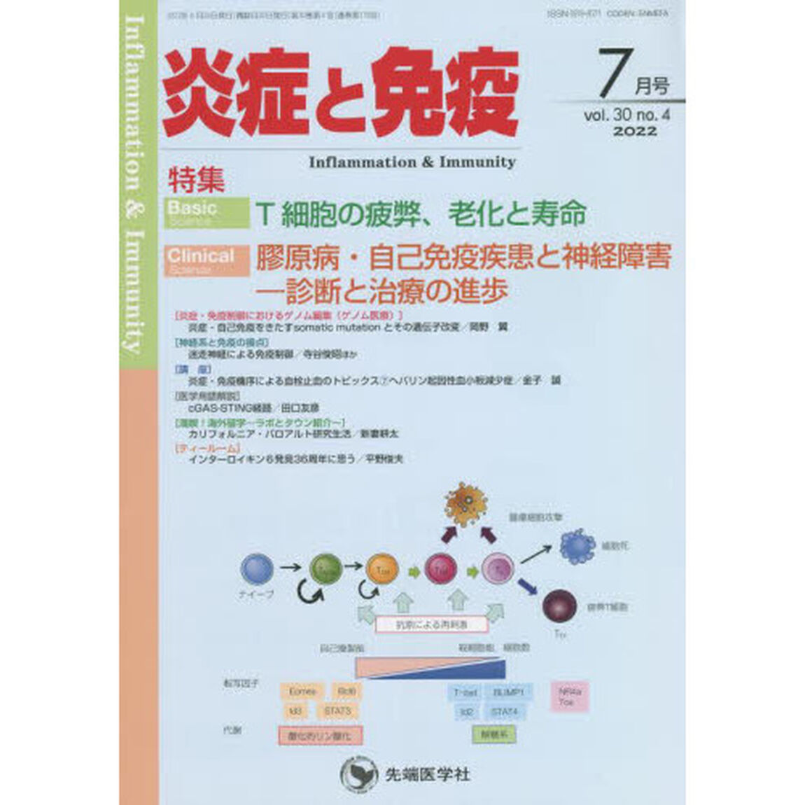 炎症と免疫　ｖｏｌ．３０ｎｏ．４（２０２２－７月号）「Ｂａｓｉｃ　Ｔ細胞の疲弊、老化と寿命　Ｃｌｉｎｉｃａｌ膠原病・自己免疫疾患と神経障害－診断と治療の進歩」
