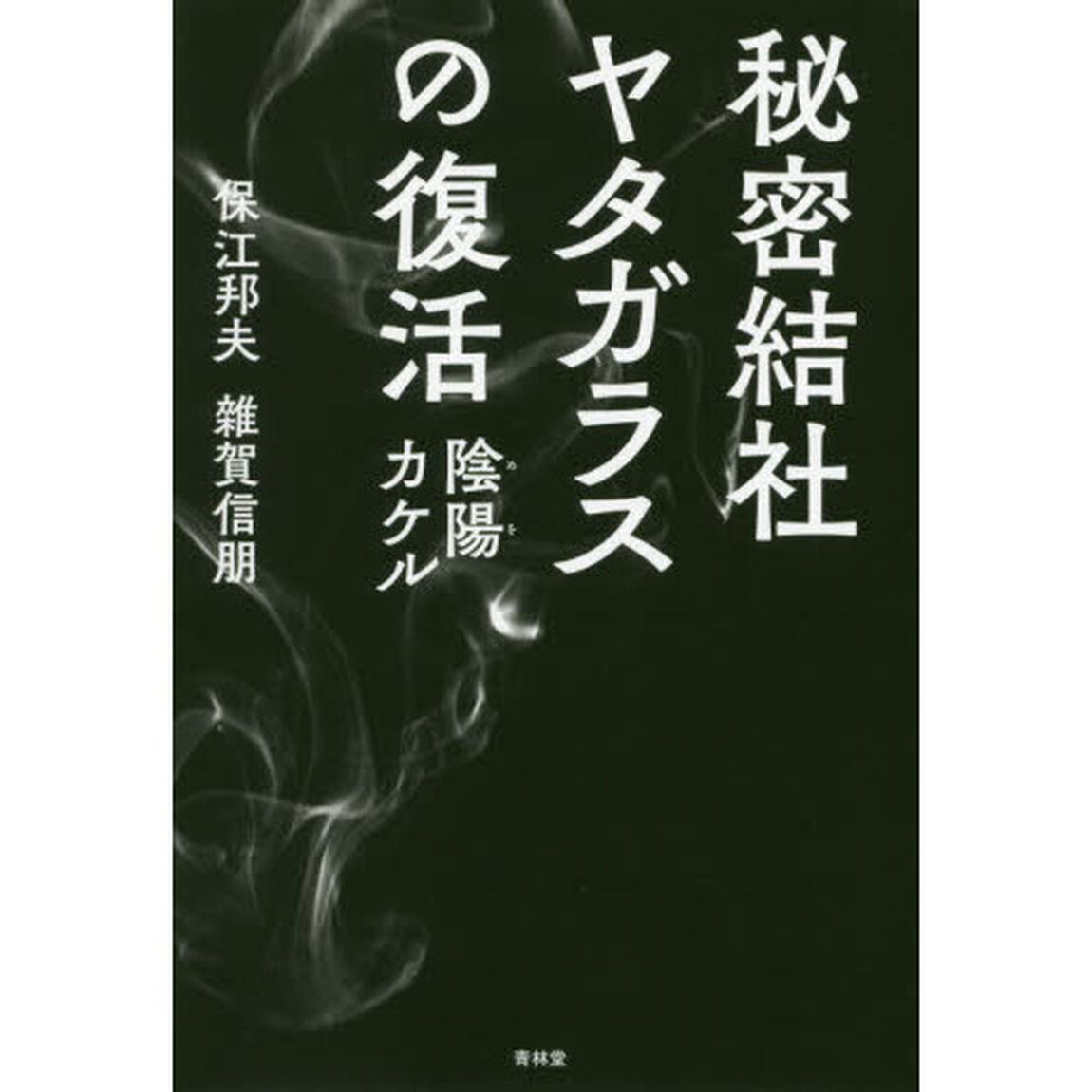 秘密結社ヤタガラスの復活　陰陽カケル