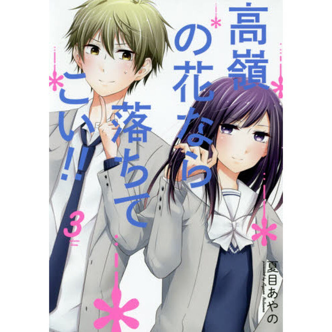 高嶺の花なら落ちてこい！！　　　３