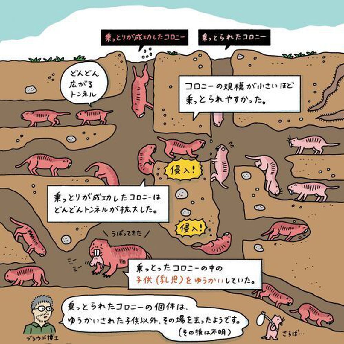 生きもの「なんで？」行動ノート