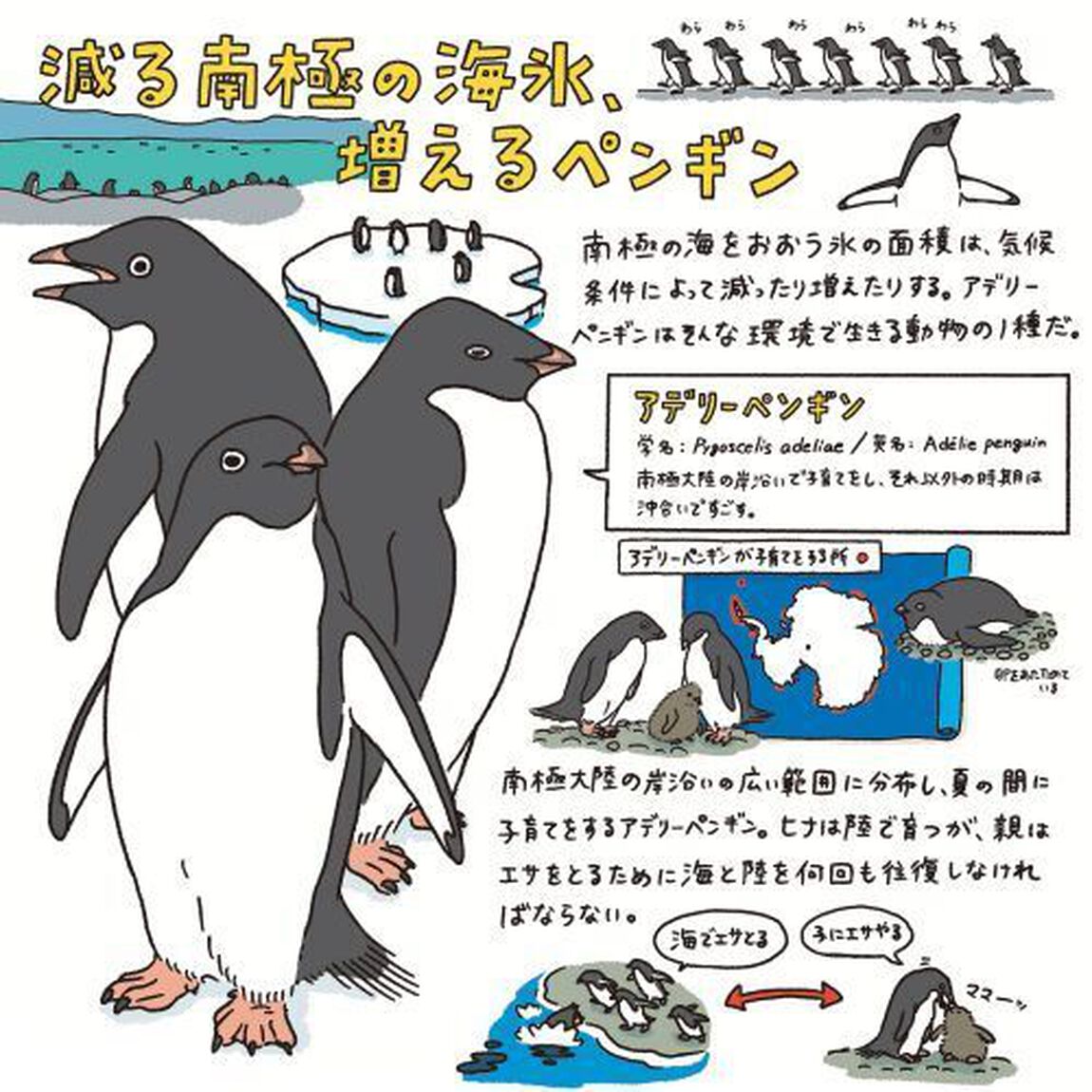 生きもの「なんで？」行動ノート