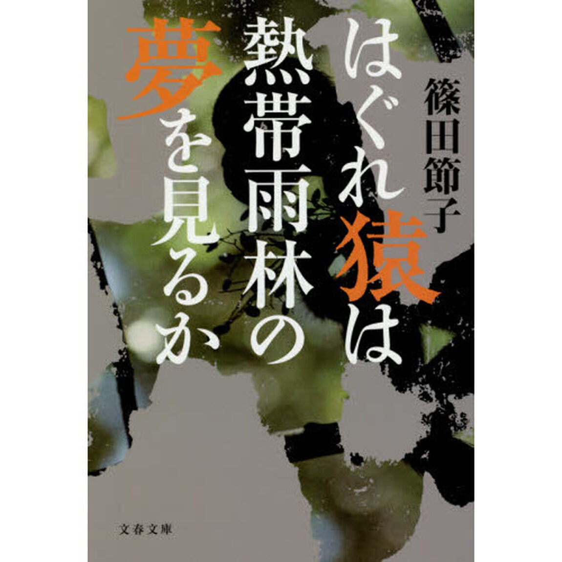 はぐれ猿は熱帯雨林の夢を見るか