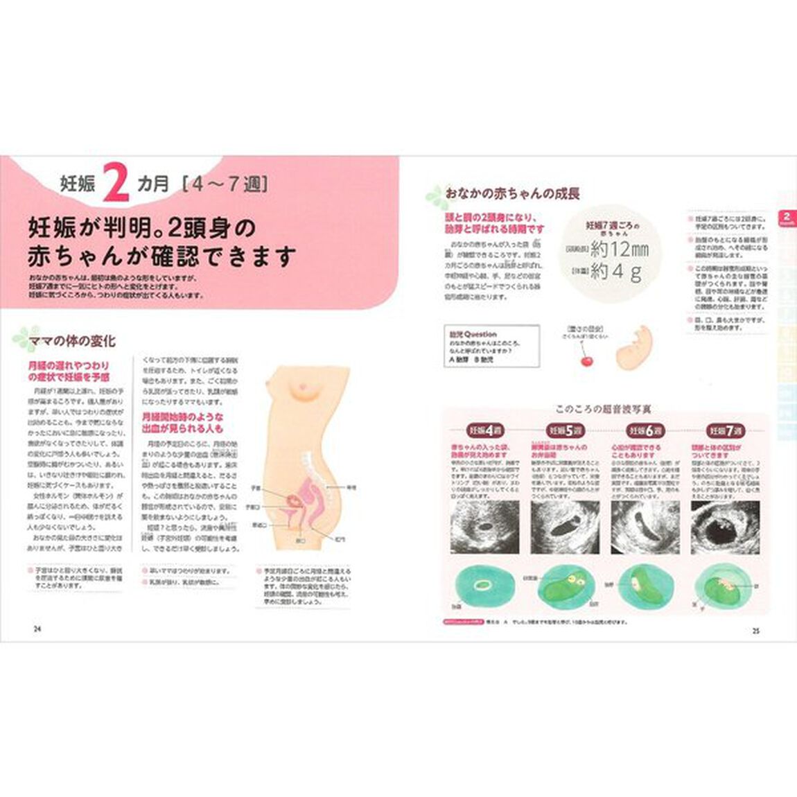 最新！妊娠・出産新百科ｍｉｎｉ　妊娠初期から産後１カ月までこれ１冊でＯＫ！　たまひよ新百科シリーズ