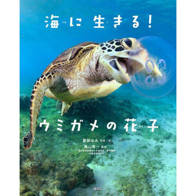 海に生きる！ウミガメの花子