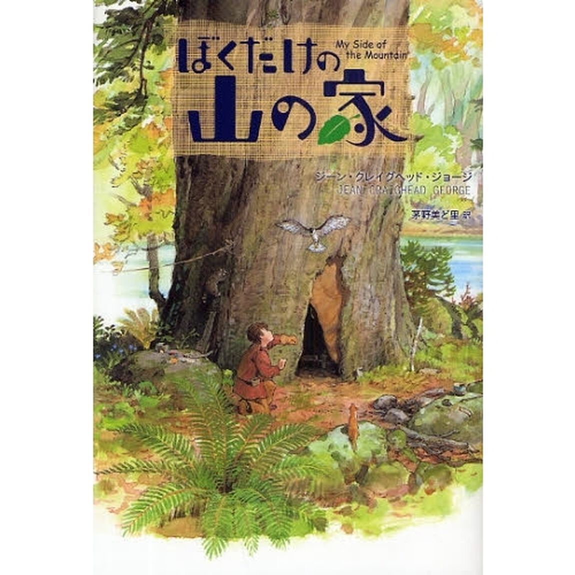 ぼくだけの山の家