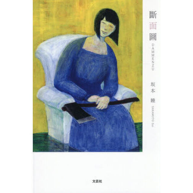 斷面圖