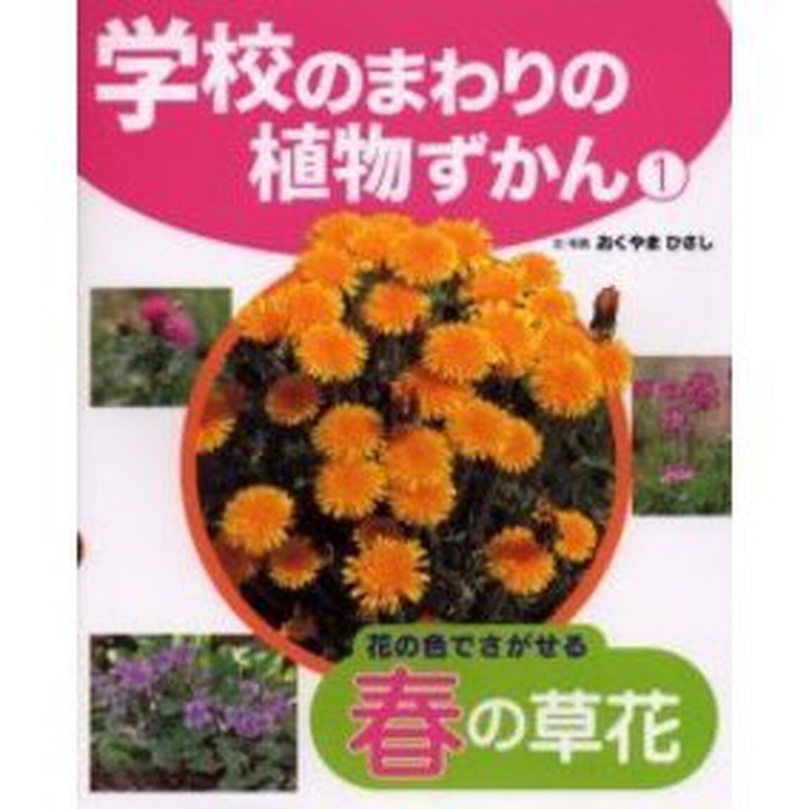 学校のまわりの植物ずかん　１「花の色でさがせる春の草花」
