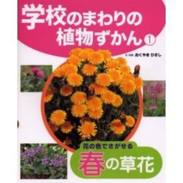 学校のまわりの植物ずかん　１「花の色でさがせる春の草花」