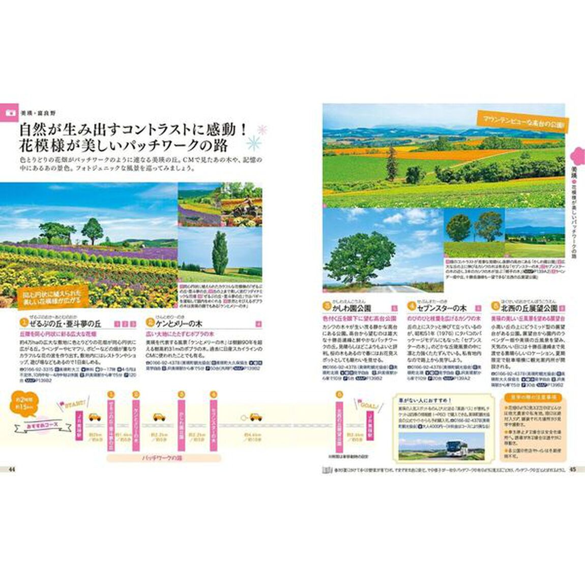 富良野　美瑛　札幌　旭山動物園　〔２０２５〕