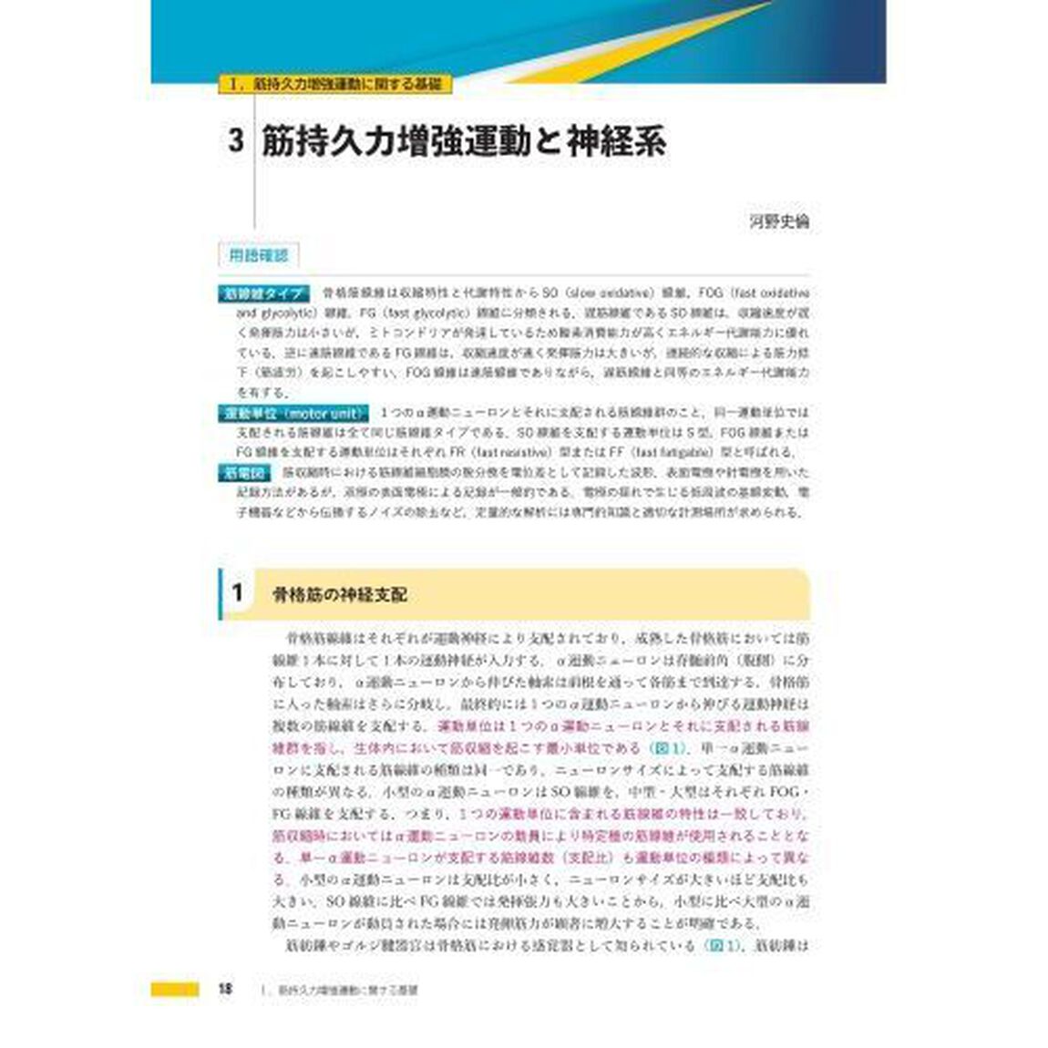 こだわり抜く筋持久力増強運動