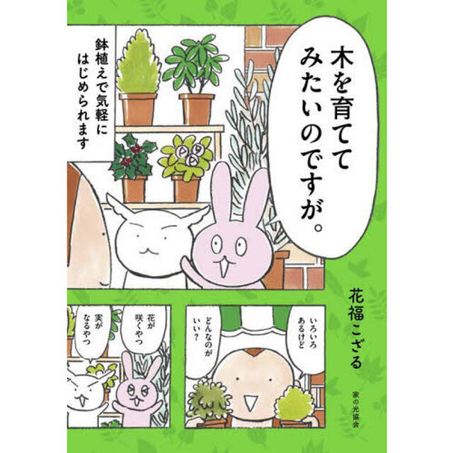 木を育ててみたいのですが。　鉢植えで気軽にはじめられます