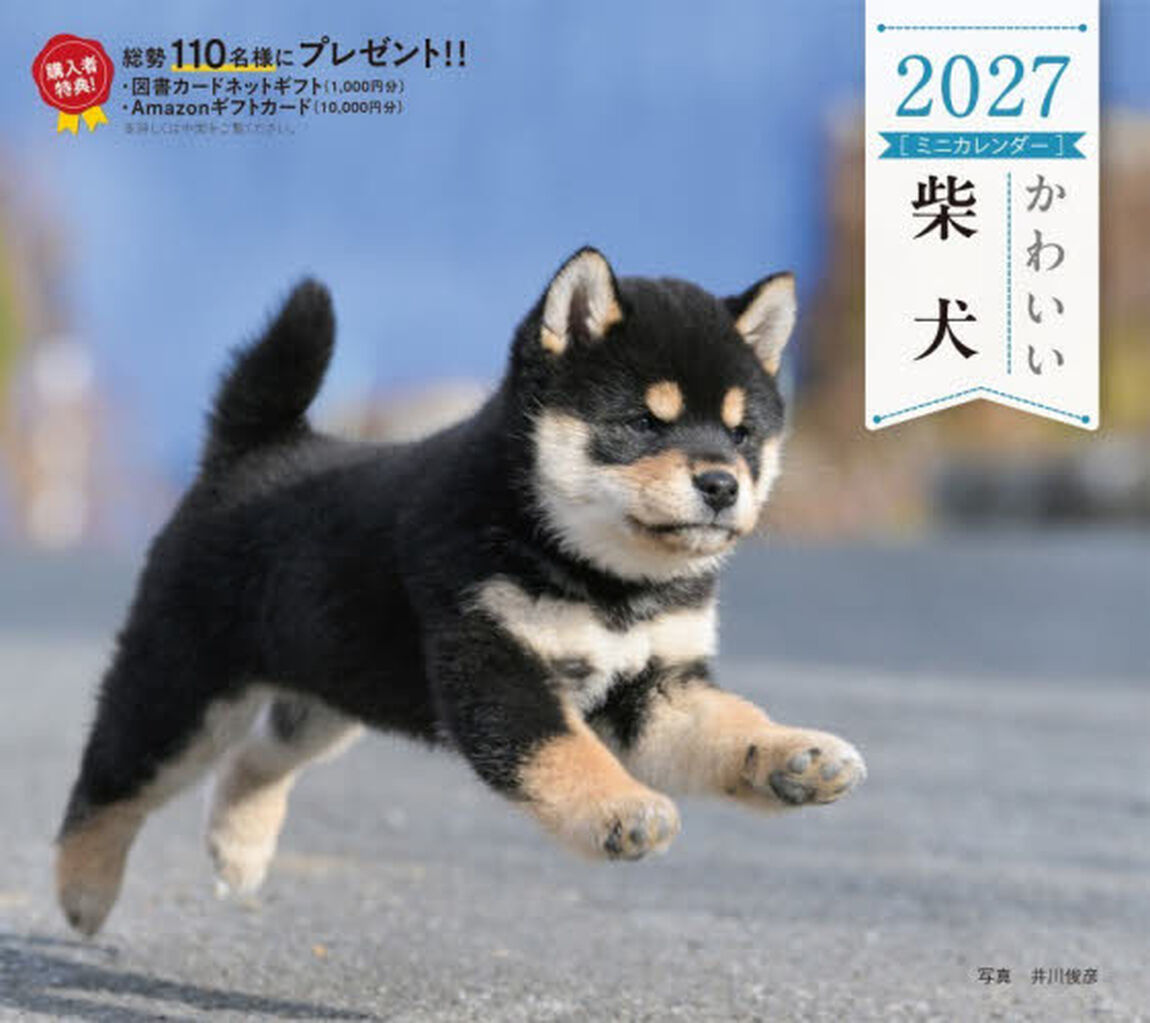 &rsquo;２７　カレンダーかわいい柴犬