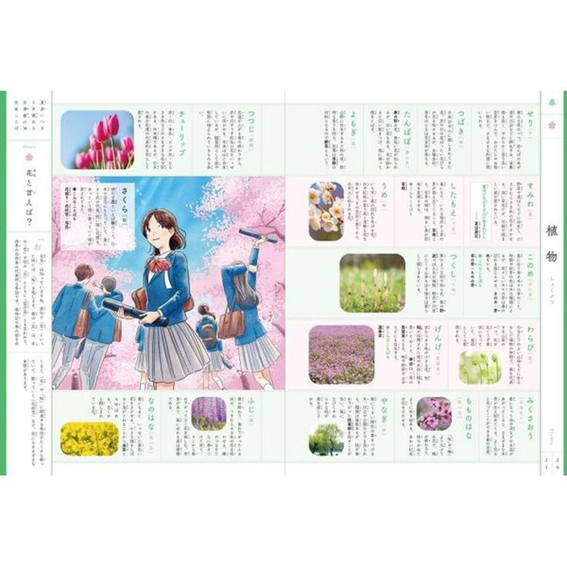夏井いつきと深める季節のことば辞典
