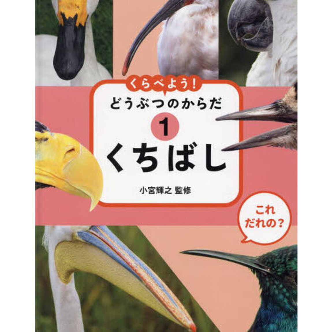 くらべよう！どうぶつのからだ　これだれの？　１「くちばし」